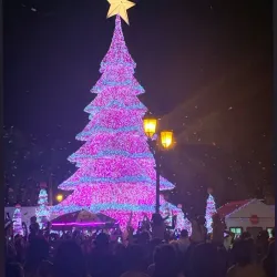 Alcázar de Colón - Santo Domingo
