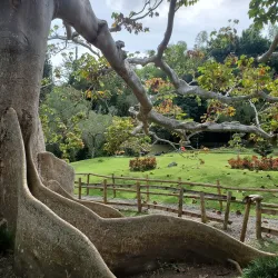 Jardín Botánico Nacional - Santo Domingo