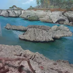 Jardín Botánico Nacional - Santo Domingo