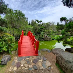 Jardín Botánico Nacional - Santo Domingo