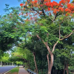 Parque Mirador Sur - Santo Domingo