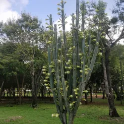 Parque Mirador Sur - Santo Domingo