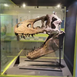 Plaza de la Cultura - Santo Domingo