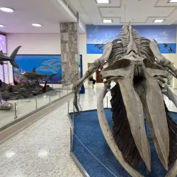 Plaza de la Cultura - Santo Domingo