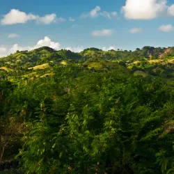 El Choco National Park - Sosua