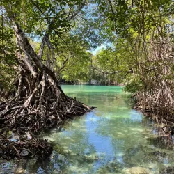 El Choco National Park - Sosua