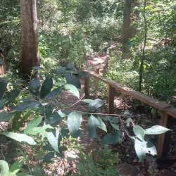 El Choco National Park - Sosua