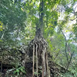 El Choco National Park - Sosua