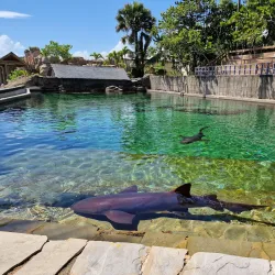 Ocean World Adventure Park - Sosua