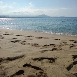 Playa Alicia - Sosua