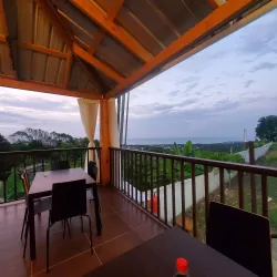 Sosua Nightlife - Sosua