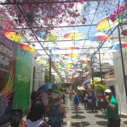 Taino Art Gallery - Sosua