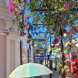 Taino Art Gallery - Sosua