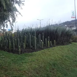 Festival de la Fruta y de las Flores - Ambato