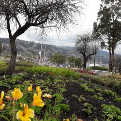 Festival de la Fruta y de las Flores - Ambato