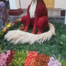 Museo Provincial de Tungurahua - Ambato