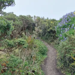 Volcán Tungurahua - Ambato