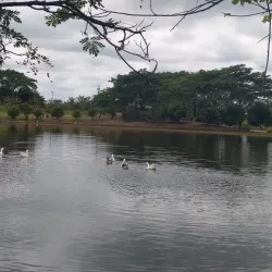 Laguna de Colimes - Babahoyo