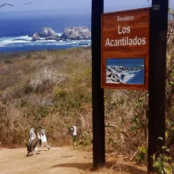 Isla de la Plata - Bahia de Caraquez