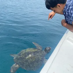 Isla de la Plata - Bahia de Caraquez