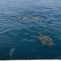 Isla de la Plata - Bahia de Caraquez