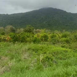Manglares Churute Ecological Reserve - Bahia de Caraquez