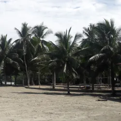 Reserva Ecológica Manglares de Ayampe - Bahia de Caraquez