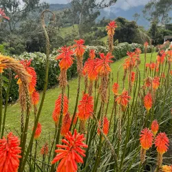 Casa del Árbol (The Treehouse) - Banos