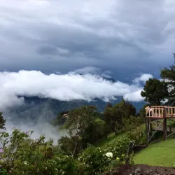 Casa del Árbol (The Treehouse) - Banos