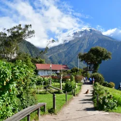 Casa del Árbol (The Treehouse) - Banos