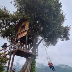 Swing at the End of the World - Banos