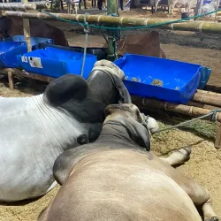 Feria Artesanal de Chone - Chone