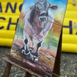 Feria Artesanal de Chone - Chone