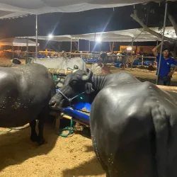 Feria Artesanal de Chone - Chone