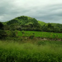 Reserva Ecológica Manglares Churute - Chone