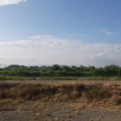 Reserva Ecológica Manglares Churute - Chone