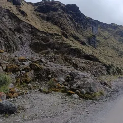 El Angel Ecological Reserve - Cotacachi