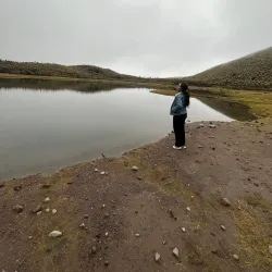 El Angel Ecological Reserve - Cotacachi