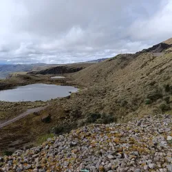 El Angel Ecological Reserve - Cotacachi