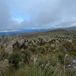 El Angel Ecological Reserve - Cotacachi