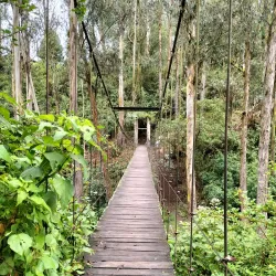 Peguche Waterfall - Cotacachi