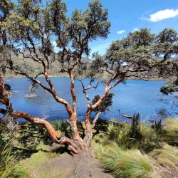 El Cajas National Park - Cuenca