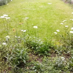 Museum of Modern Art (Museo de Arte Moderno) - Cuenca