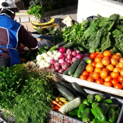 La Floresta Market - Cumbaya