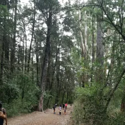 Parque La Armenia - Cumbaya