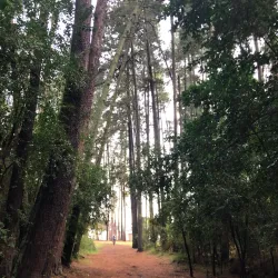 Parque La Armenia - Cumbaya