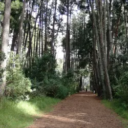 Parque La Armenia - Cumbaya