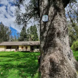 Parque Metropolitano Guangüiltagua - Cumbaya