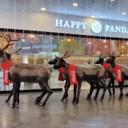 Paseo San Francisco - Cumbaya