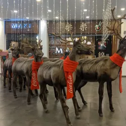 Paseo San Francisco - Cumbaya